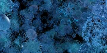 An intricate digital illustration of microscopic structures, possibly representing bacteria, viruses, or other microorganisms in shades of blue against a dark background.